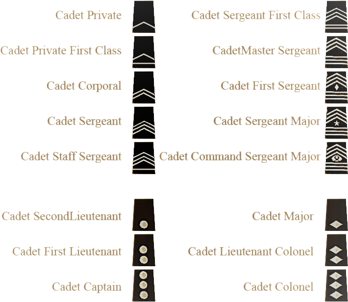 Awards And Ranks - North Mesquite High School (760x684), Png Download