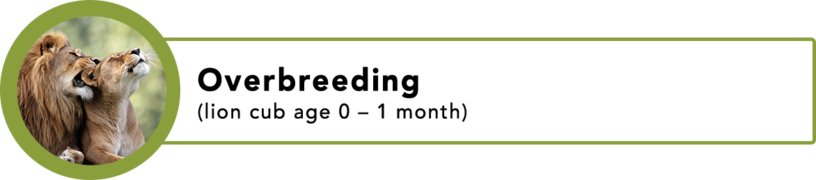 Lion Breeding Facilities, Of Which There Are Over 200 - Parallel (1172x259), Png Download