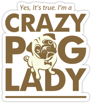 Crazy Pug Lady T Shirt And Items - Crazy Pug Lady (375x360), Png Download
