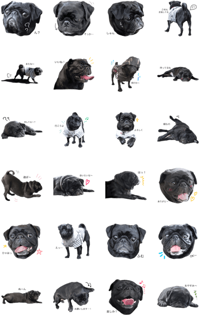 Black Pug Anko Stamp - Pug (420x673), Png Download