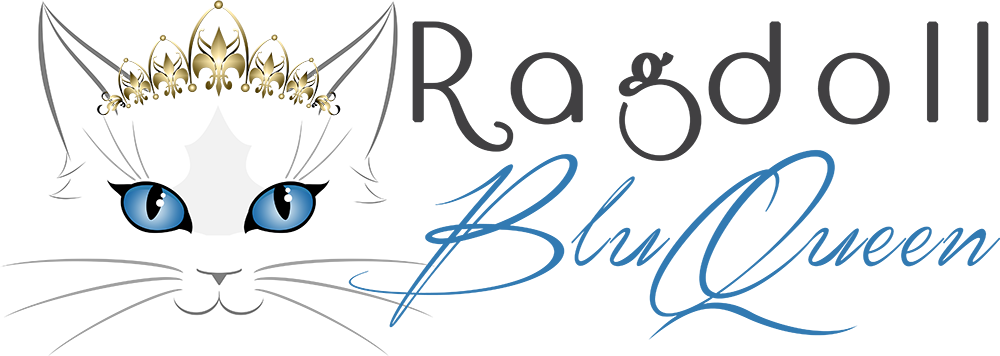 Amateur Cattery Of Ragdoll Cats Of Anna Aprea - Handwriting (1000x356), Png Download