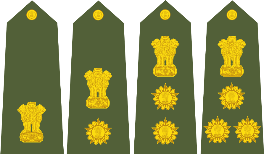 Major, Lieutenant Colonel, Colonel And Foreman Are - Dandelion (900x520), Png Download