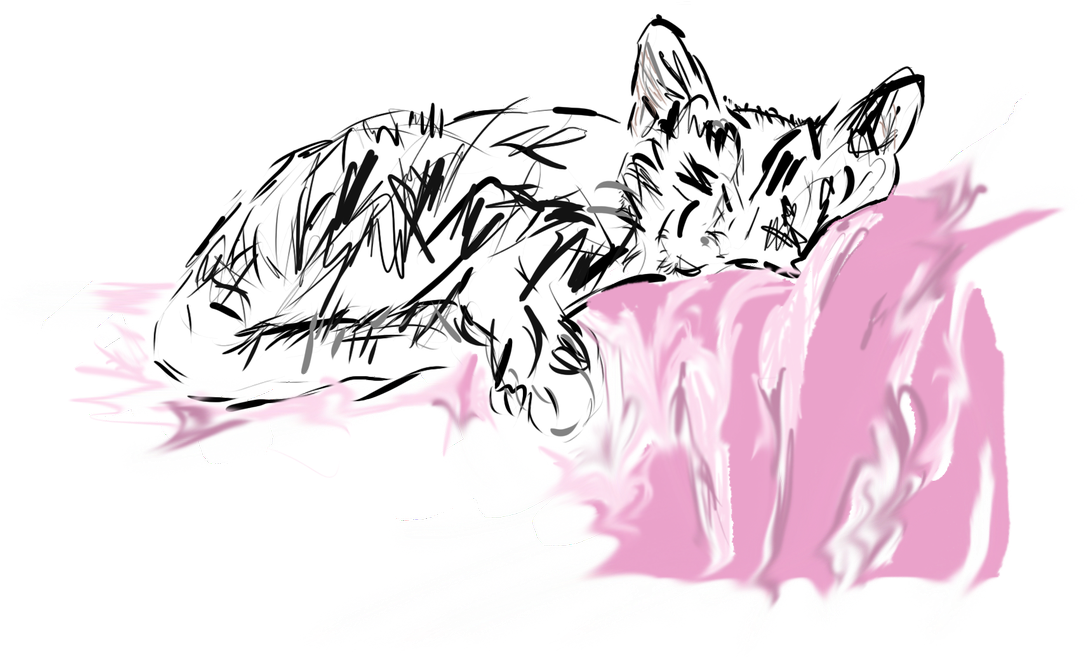 🍒 Megan Rose On Twitter - Sketch (1200x900), Png Download