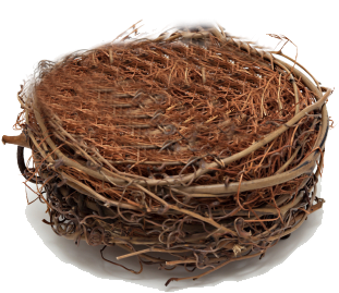 Tips To Help You Fly Through Empty Nest Syndrome Dr - Retirement Account (372x323), Png Download