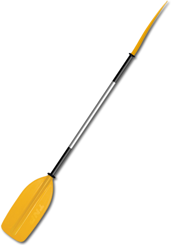 Tnp Kayak Paddle - Kayak (420x480), Png Download