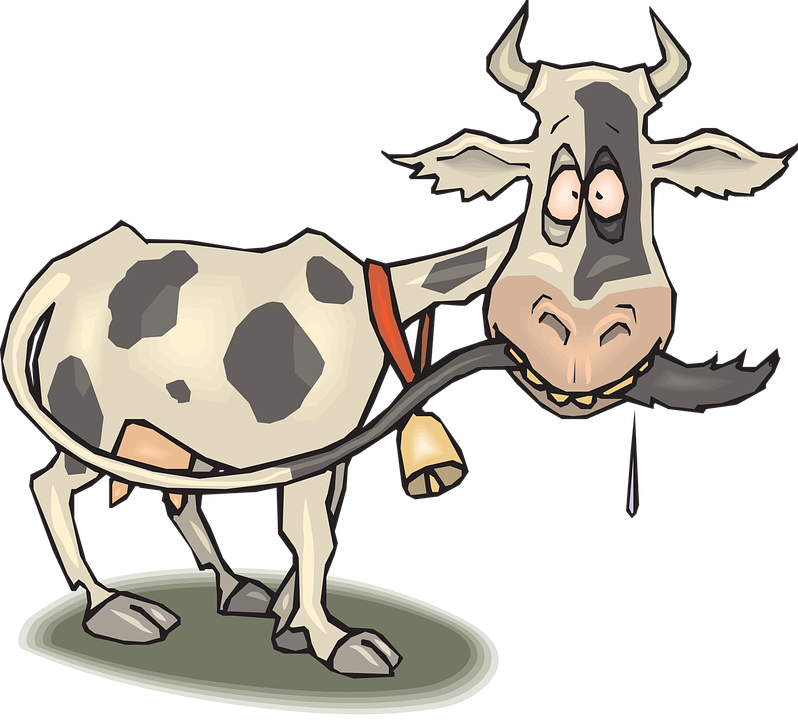 Download Cow Clip Art ~ Free Clipart Of Cows - Mad Cow Ceramic Mug (600x541), Png Download
