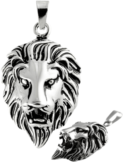 Polished Lions Head Pendant - Locket (555x555), Png Download