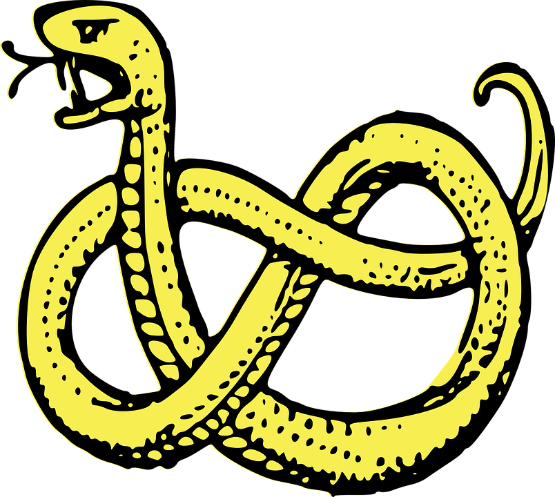 Snake, Coiled, Serpent, Predator, Isolated, Drawing - Coat Of Arms Symbols Snake (804x720), Png Download