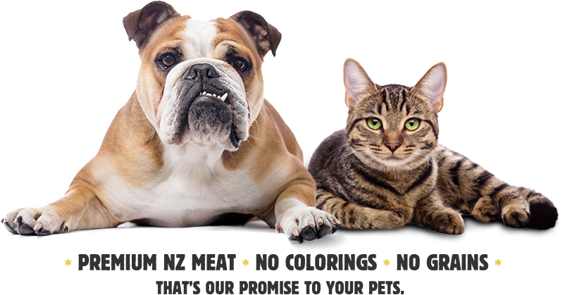 Join The Jimbo's Email Club - English Bulldog French Bulldog American Bulldog (802x419), Png Download