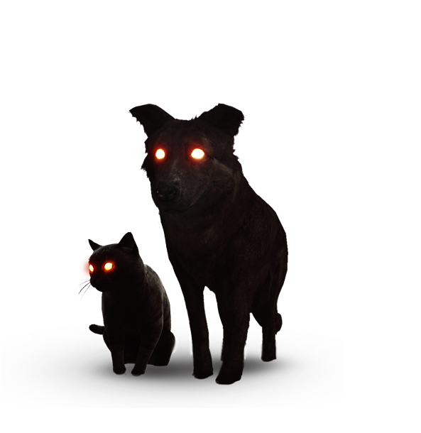 Tw3 Journal Black Cat And Dog - Witcher 3 Black Dog And Cat (654x727), Png Download