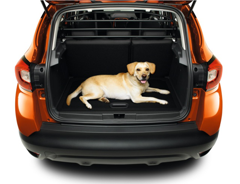 Renault Partition Grille - 8201395219 (800x800), Png Download