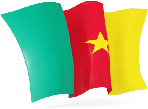 Cameroon Flag Png - Burkina Faso Flag Icon (640x480), Png Download
