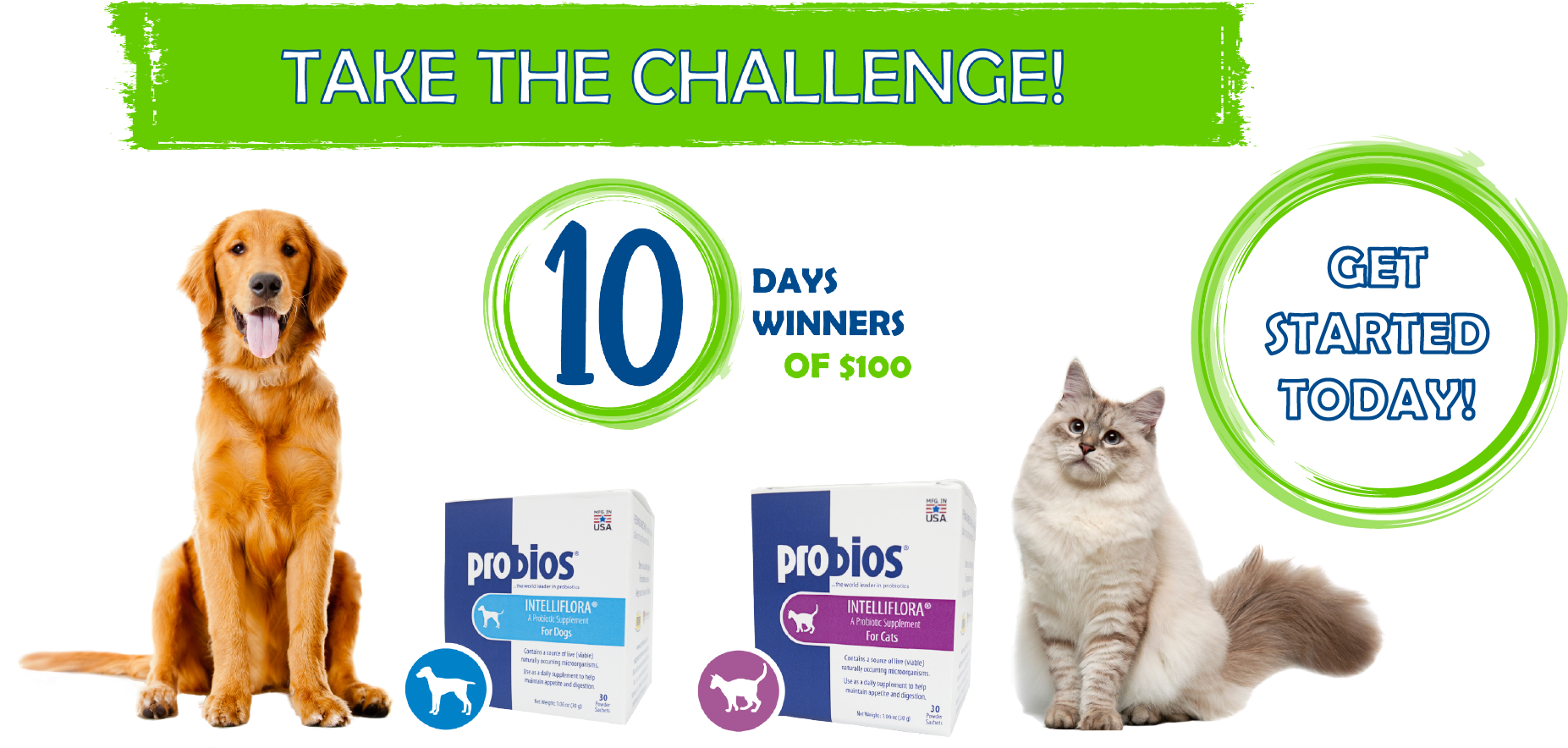 Ideal For Changes In Routine - Understanding Dog Language - 50 Points (1853x895), Png Download