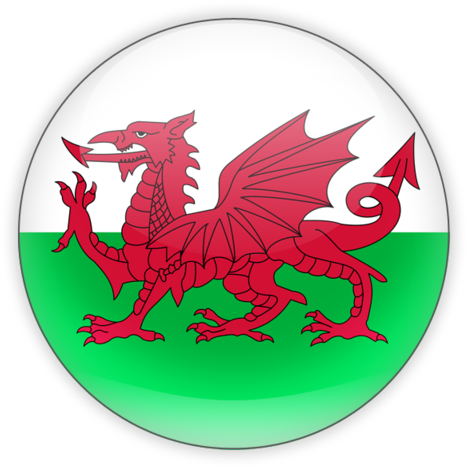 Wales Flag Football - Welsh Flag (640x480), Png Download