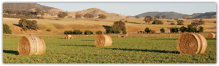 Cleven And Sons Llc (750x235), Png Download