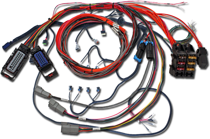 Infinity Ecu - Electrical Wiring (900x500), Png Download