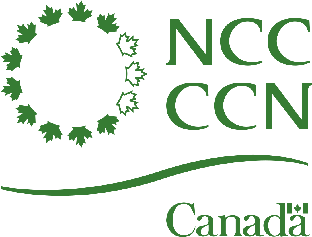 National Capital Commission Logo (1200x961), Png Download