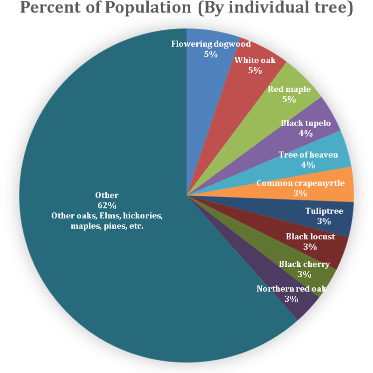 Tree Species Distribution - Maple (1222x771), Png Download