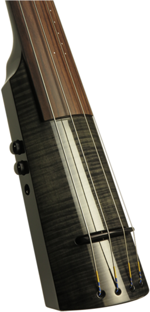 Zoom - Ns Design Wav5 Double Bass - Transparent Red Guitar (746x1200), Png Download