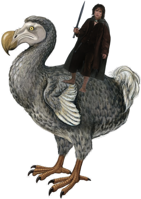 Now Get Ready For - Dodo Pigeon (540x686), Png Download
