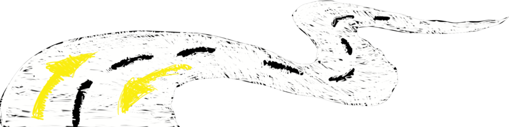 Windingroad - Portable Network Graphics (1000x250), Png Download