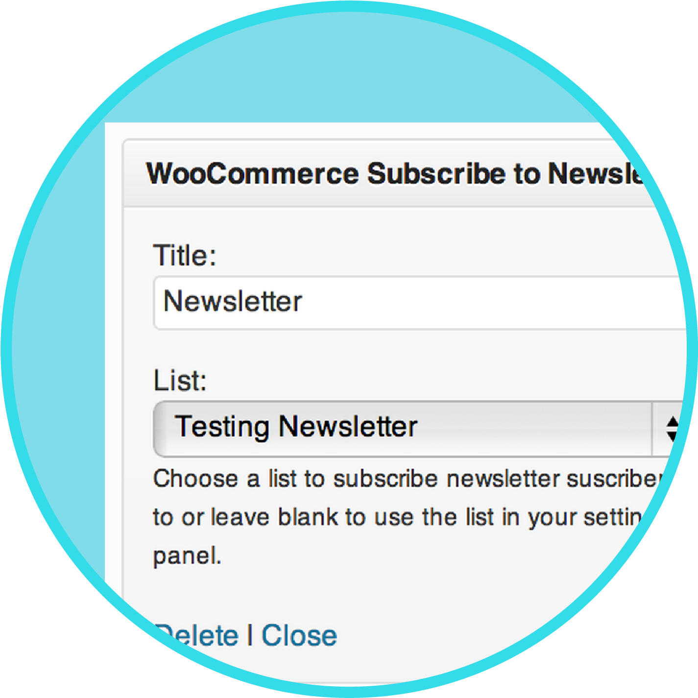 Sozot For Woocommerce • Newsletter Subscription Extension - Infographic (1458x1458), Png Download