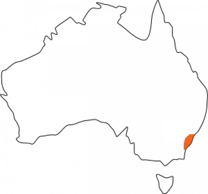 Show Image Caption Outline Of Australia - Line Art (704x655), Png Download
