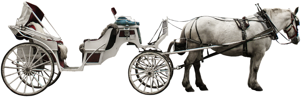 Horse & Carriage - Coach Horses Png (1280x610), Png Download