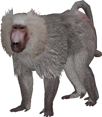 New Baboon - Zoo Tycoon 2 Hamadryas Baboon (456x505), Png Download