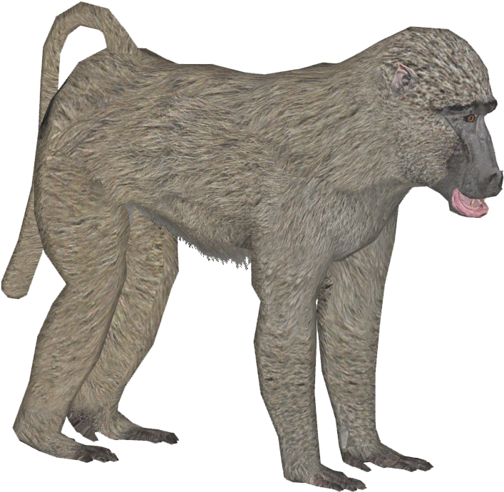 Download Olive Baboon F Olive Baboon PNG Image with No Background