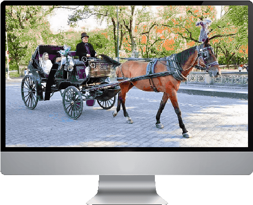 Central Park Horse & Carriage - Horse And Buggy (554x415), Png Download