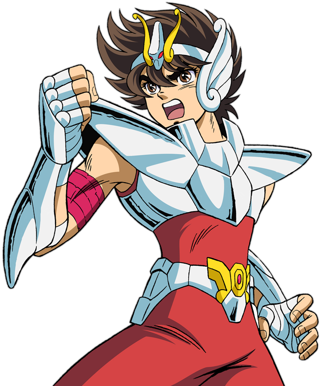 Saint Seiya Wall Scroll (800x800), Png Download