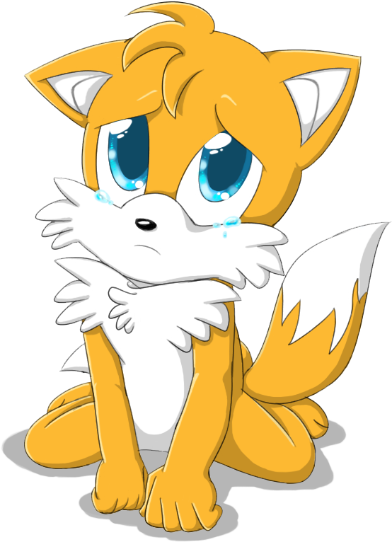 Miles "tails" Prower Images Puppy Eyes Hd Wallpaper - Miles Tails Prower Sad (612x792), Png Download