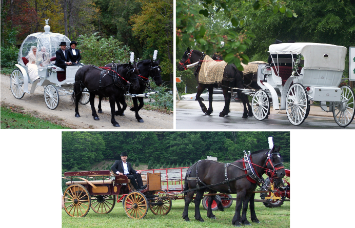 From Elegantly Rustic To Princess-like Wow, We Can - Bride (692x445), Png Download