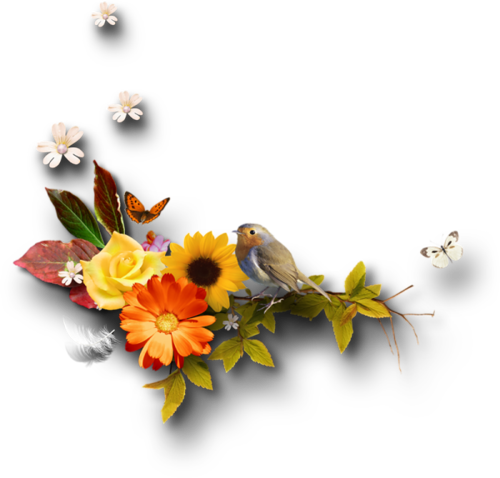 Png Csillagok Sorel Választok - Tubes Automne (500x478), Png Download