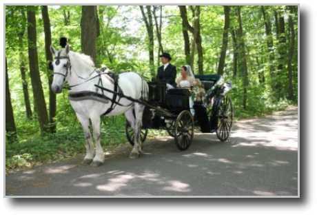 Burgundy Interior Vis A Vis Carriages - Horse And Buggy (460x312), Png Download