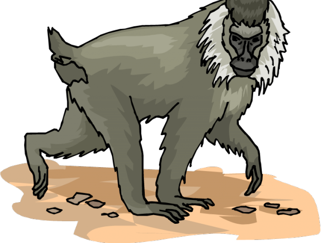Baboon Clipart Big Monkey - Baboons (640x480), Png Download