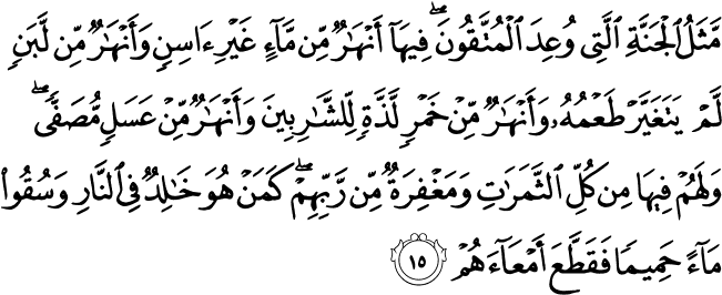 47 - - Surah Al Imran Ayat 14 (675x265), Png Download