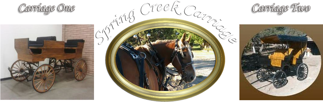 Centrally Located In Southwest Colorado, We Can Easily - Carriages Weddings & Events (1097x341), Png Download