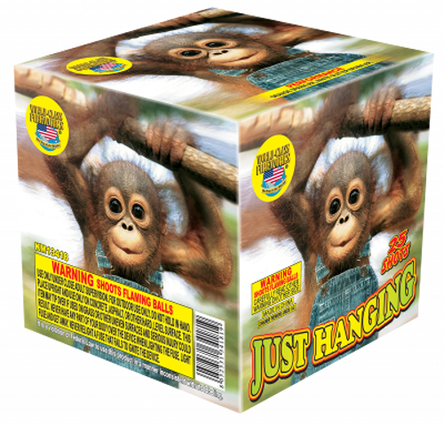 Just Hanging - Just Hanging Firework (500x479), Png Download