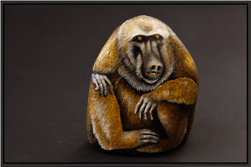 Baboon - Punxsutawney Phil (500x500), Png Download