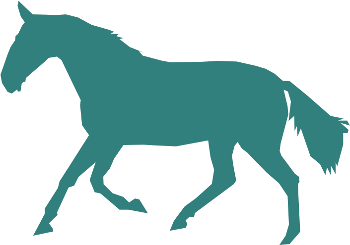 Gaited Horse - Horse Png (724x506), Png Download