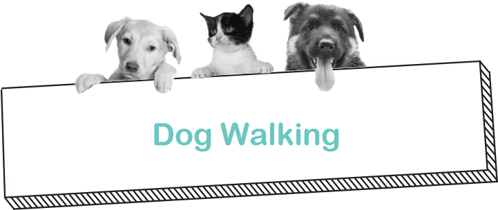 Can't Walk Your Dog For Other Reasons A Dog Walk With - State University Of Malang (720x315), Png Download