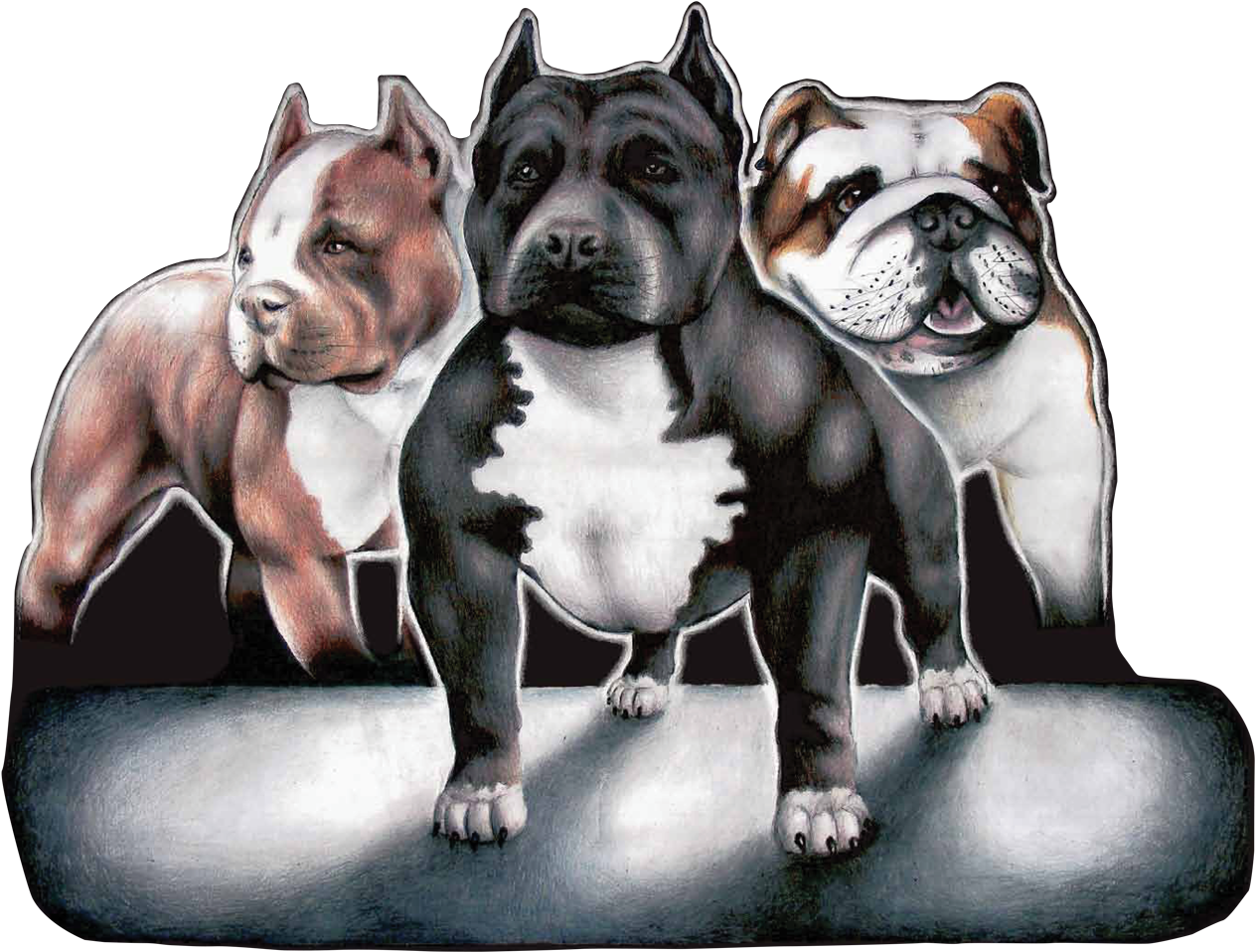 Bullypicture Dogs - Maximum Bully (1500x1333), Png Download