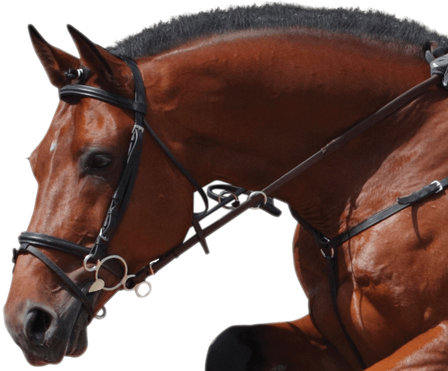 Happy Mouth Horse Bit - Happy Mouth Bit (875x724), Png Download