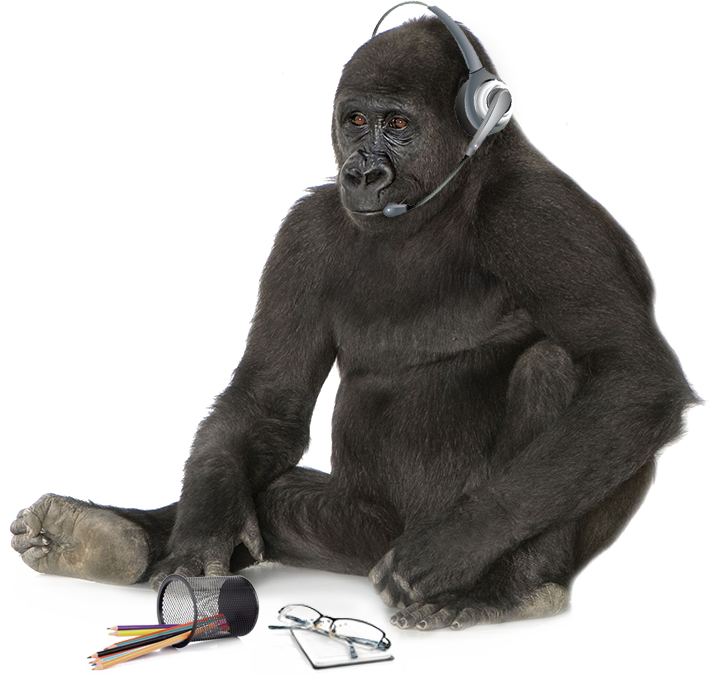 Please Fill In The Following Form And We'll Be In Touch - Gorilla (710x675), Png Download