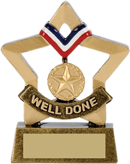 Mini Star Trophy Award - Silver Medal (464x348), Png Download