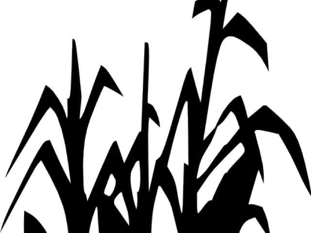 Corn Stalks Clipart - Limitless Horizons Ixil (640x480), Png Download