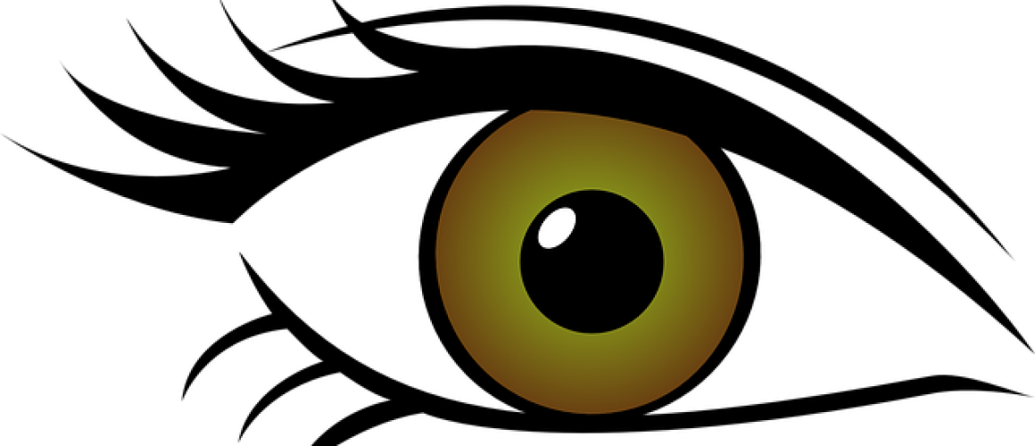 Download Optical Clipart Contact Lense Eye Clipart Transparent