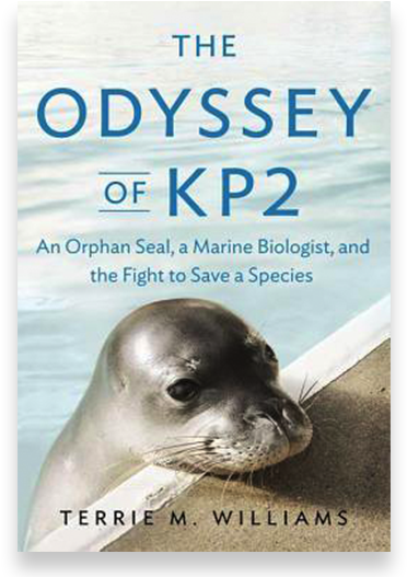 New Book By Ucsc Biologist Highlights Efforts To Save - Odyssey Of Kp2: An Orphan Seal, A Marine Biologist, (850x550), Png Download